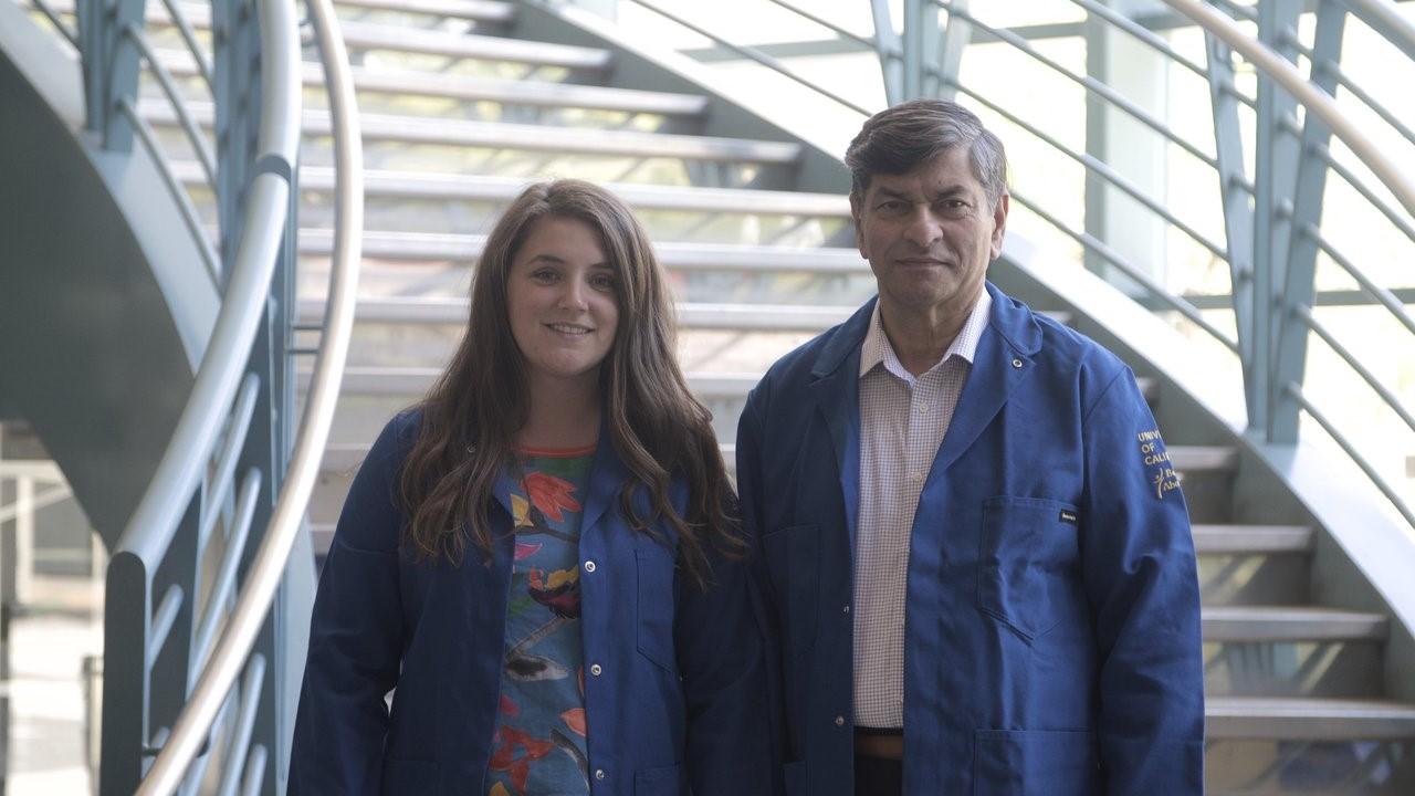 uc davis materials science engineering subhash risbud acers david kingery award