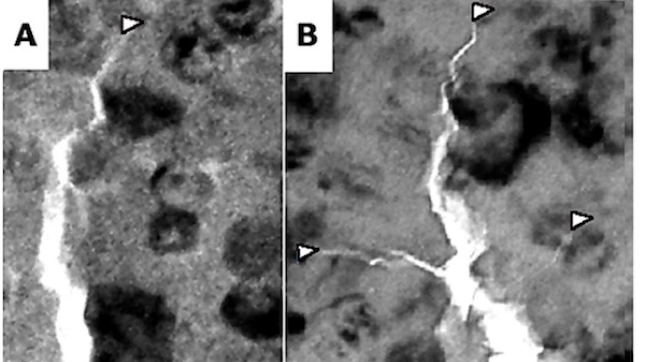 uc davis materials science engineering research nanoceramics acers feature
