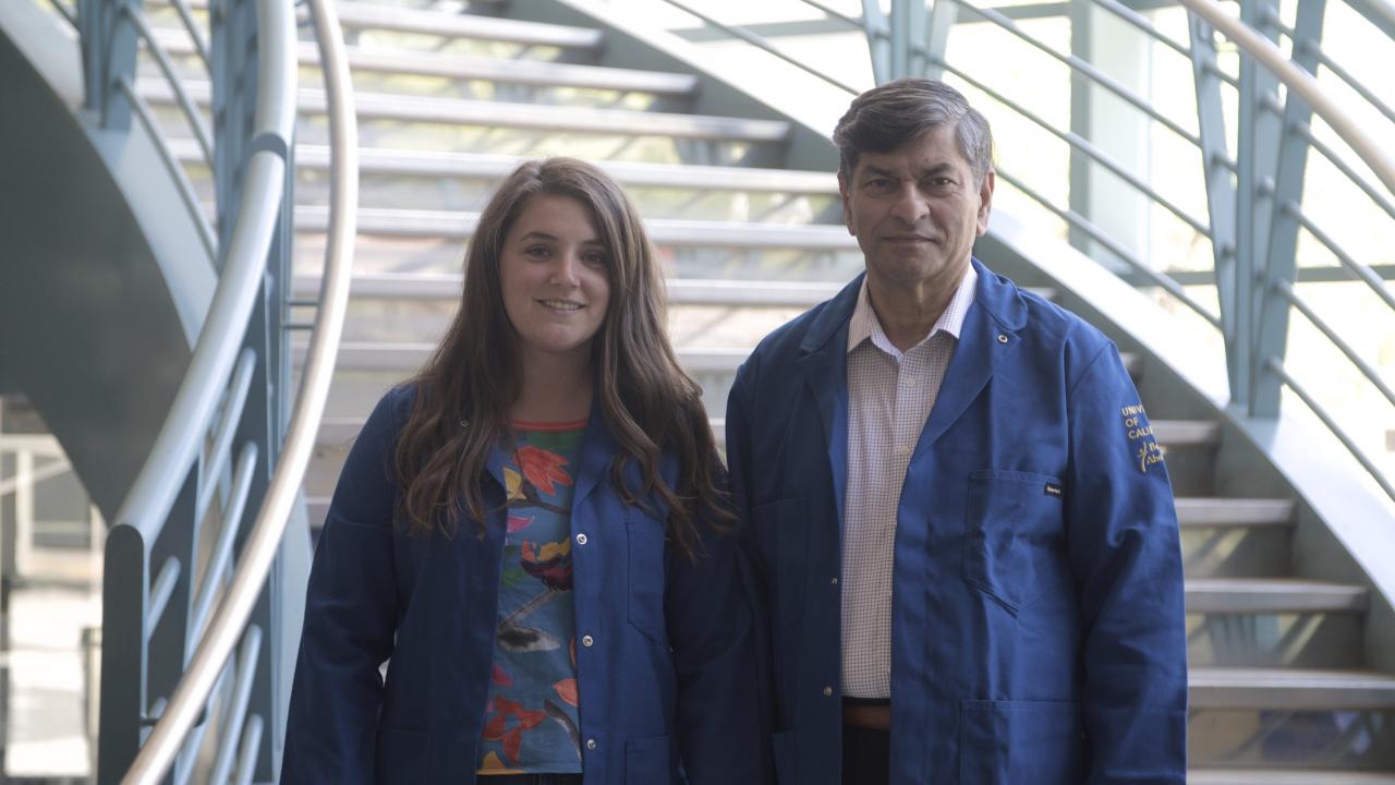 uc davis materials science engineering distinguished educator subhash risbud