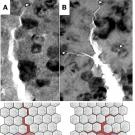 uc davis materials science engineering research nanoceramics acers feature
